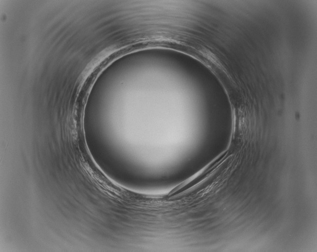 X0000054391068200508011247