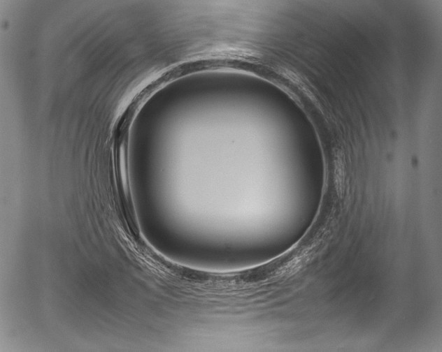 X0000054391069200508011247