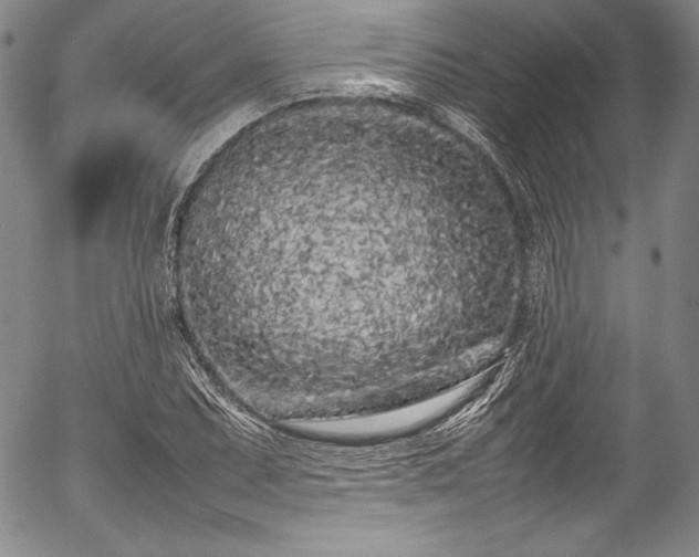 X0000054391071200508011247