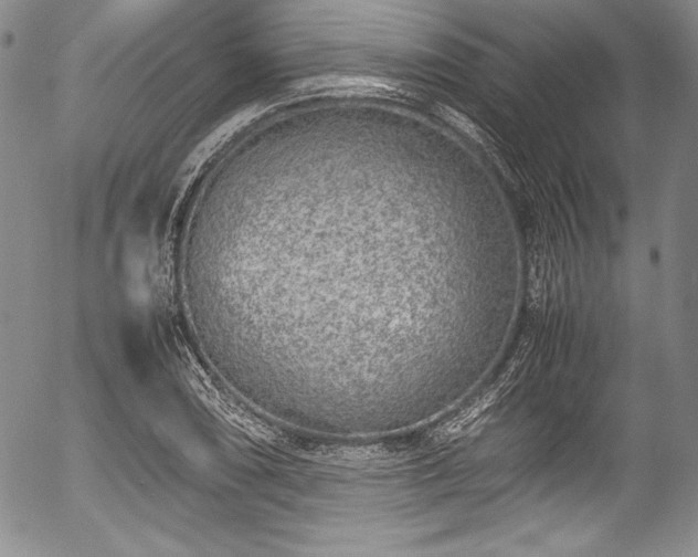 X0000054391074200508011247