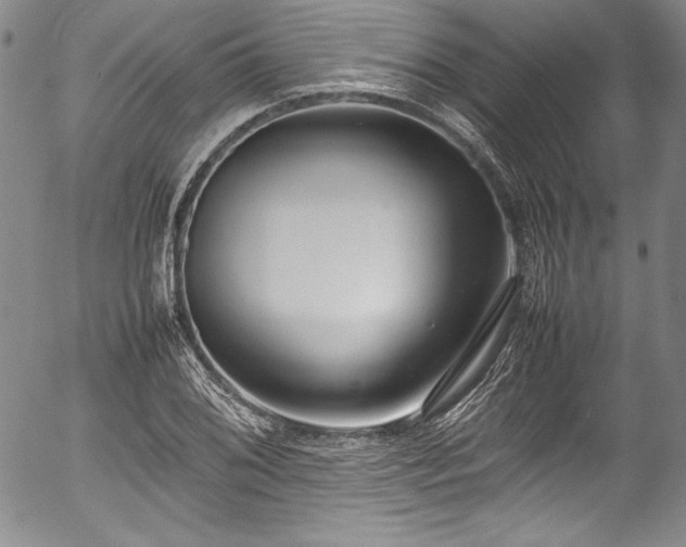X0000054391076200508011247