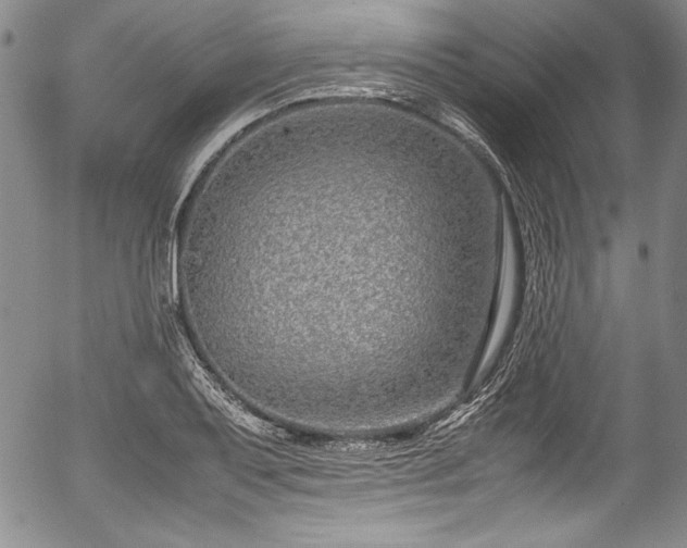 X0000054391079200508011247
