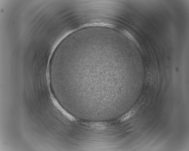 X0000054391084200508011247