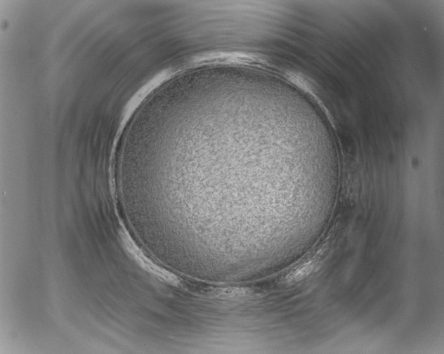 X0000054391090200508011247