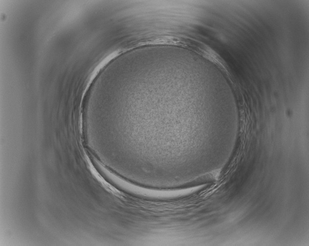 X0000054391095200508011246