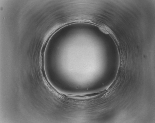 X0000054391096200508011246