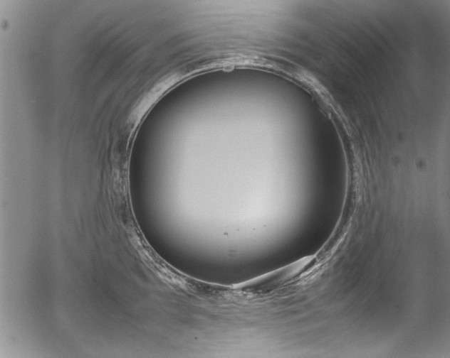 X0000054391097200508011246