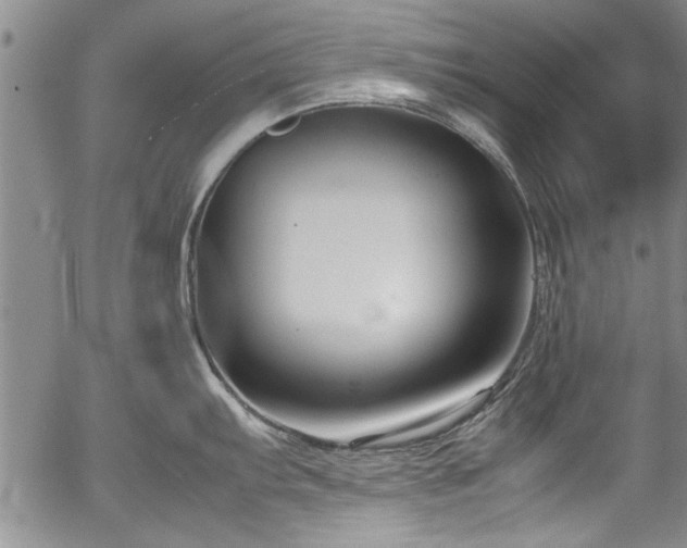 X0000054391103200508011246