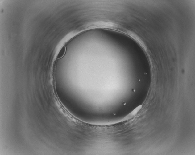 X0000054391104200508011246