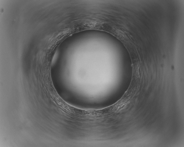 X0000054391105200508011245