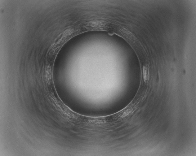 X0000054391107200508011246
