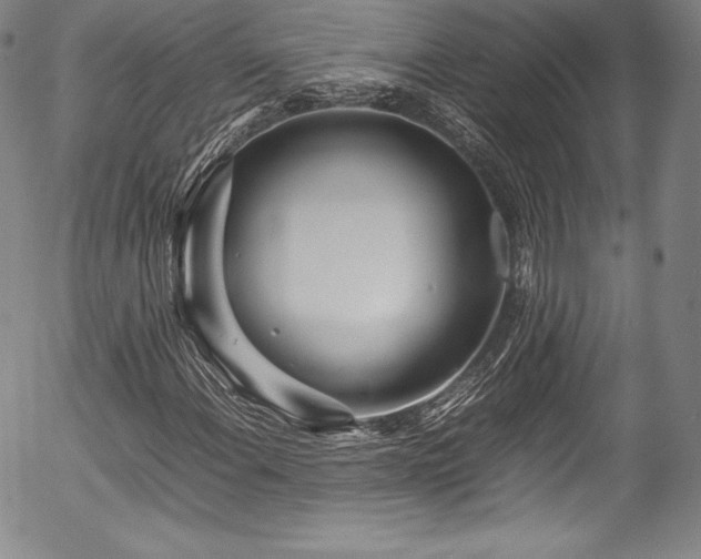 X0000054391108200508011246