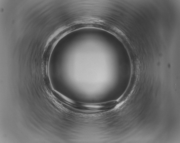 X0000054391114200508011246