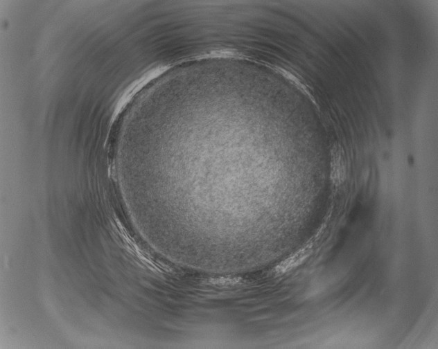 X0000054391117200508011246