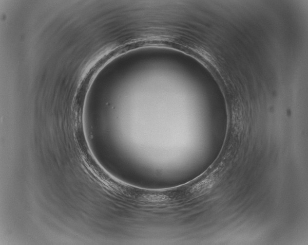 X0000054391119200508011246