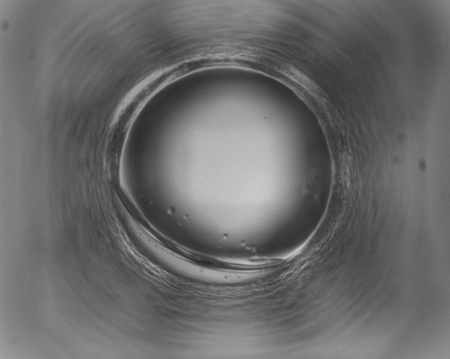 X0000054391120200508011246