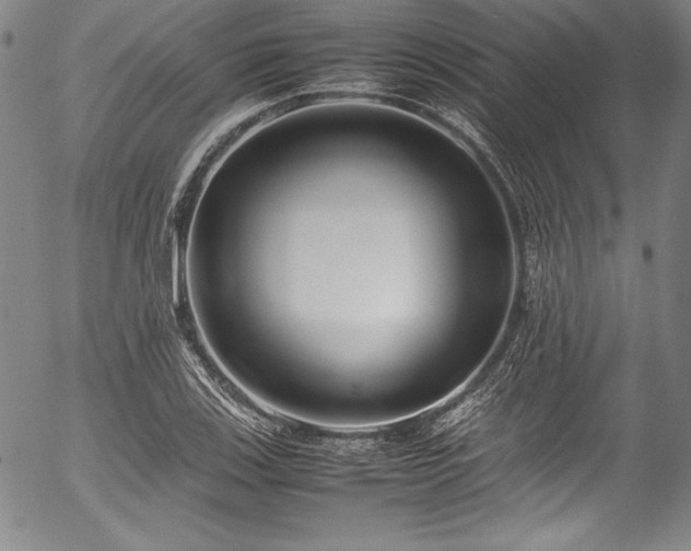 X0000054391123200508011246
