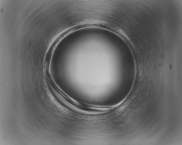 X0000054391124200508011246