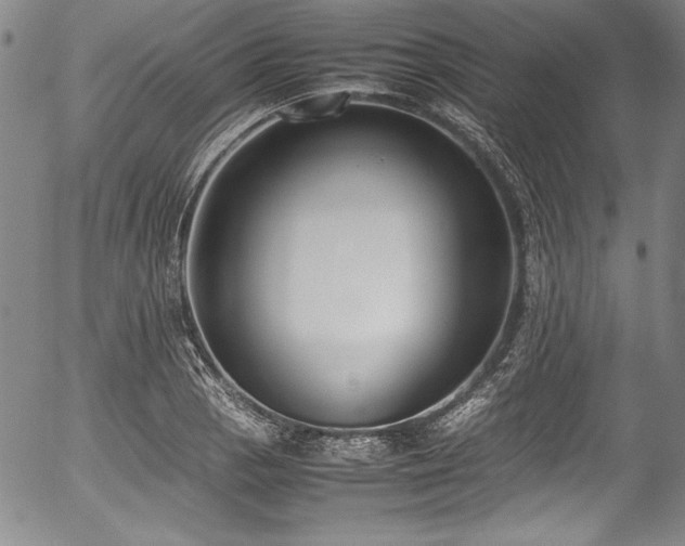 X0000054391129200508011246