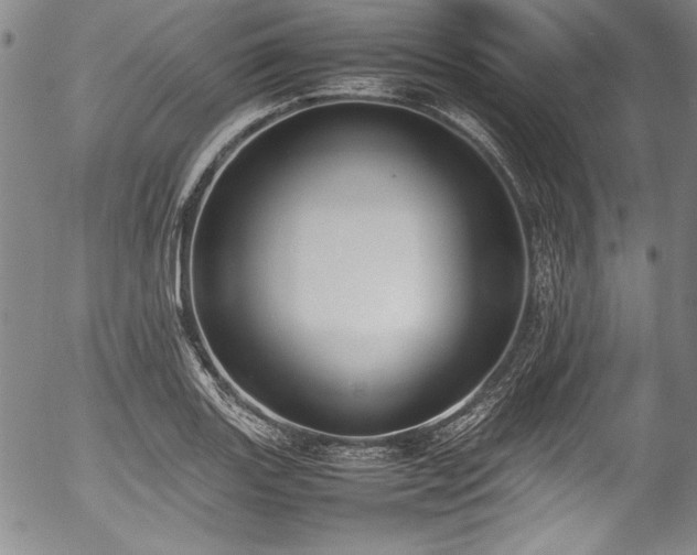 X0000054391131200508011246