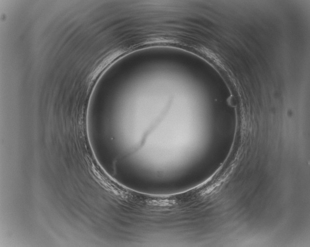 X0000054391137200508011246