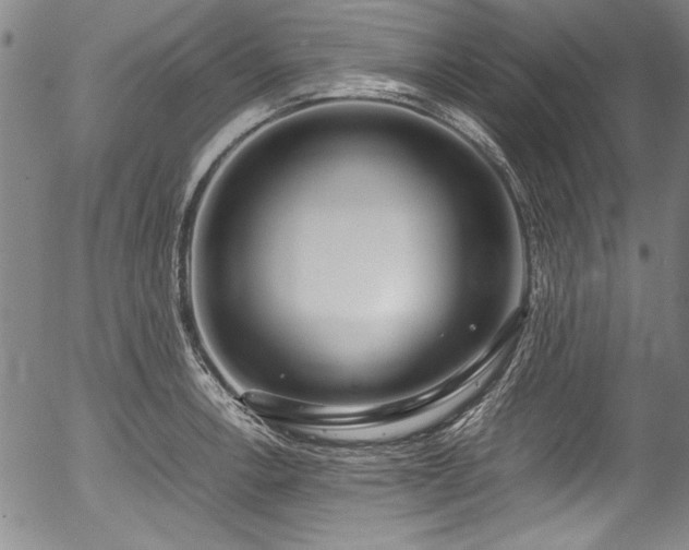X0000054391138200508011246