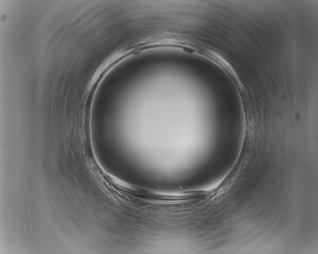 X0000054391146200508011246