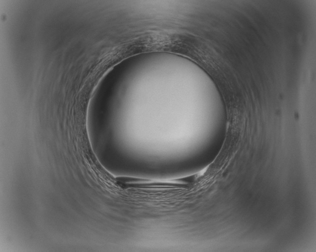 X0000054391153200508011245