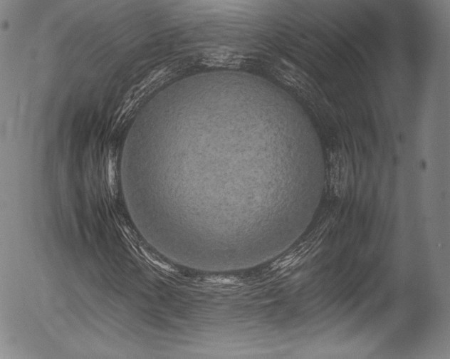 X0000054391154200508011245