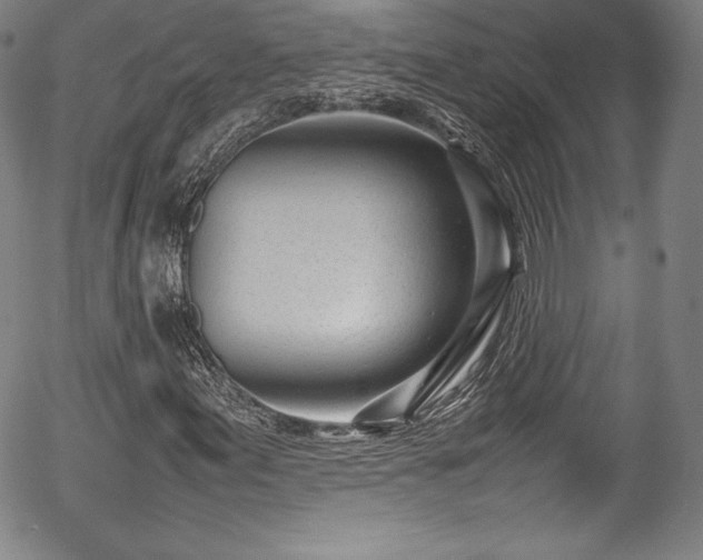 X0000054391155200508011245