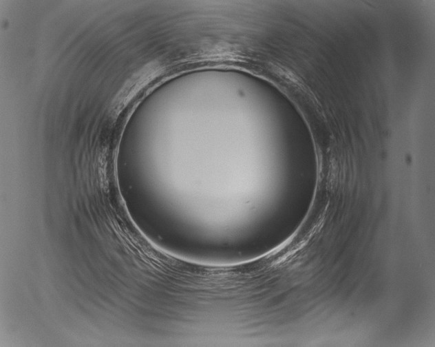 X0000054391162200508011245