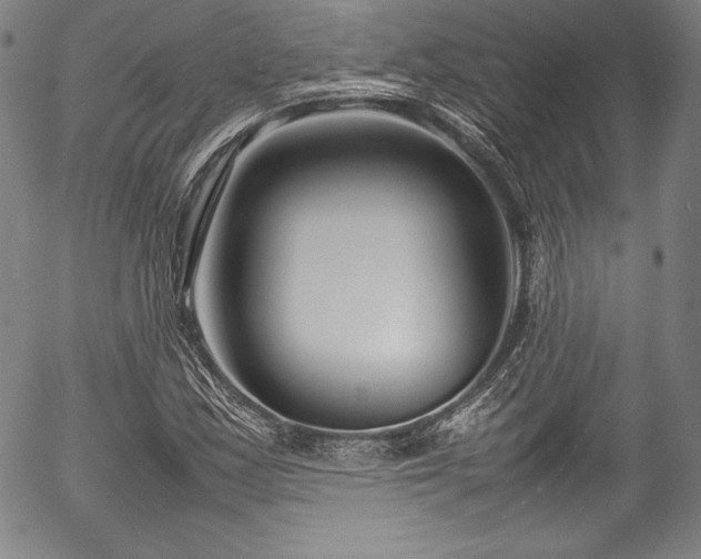 X0000054391163200508011245