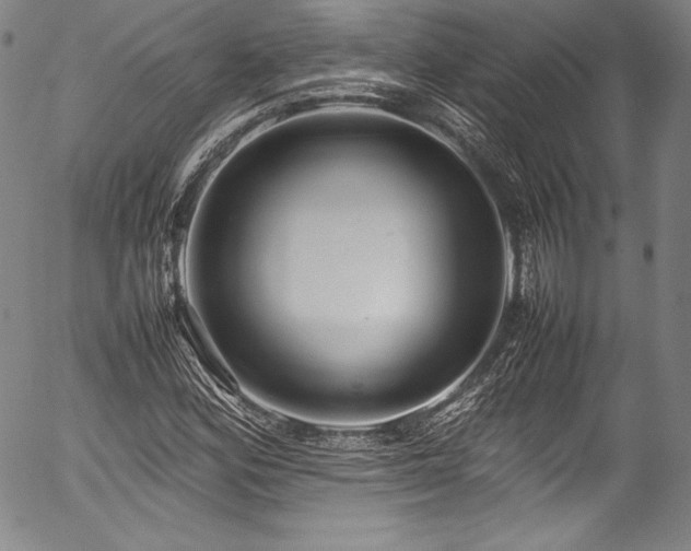 X0000054391164200508011245
