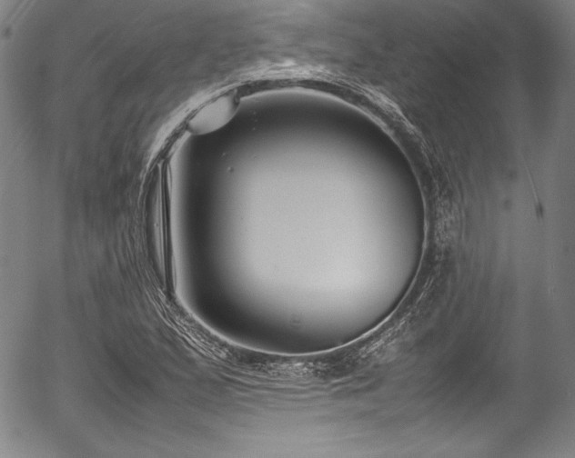 X0000054391167200508011245