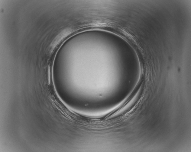 X0000054391171200508011245