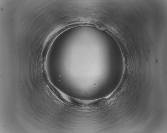 X0000054391172200508011245