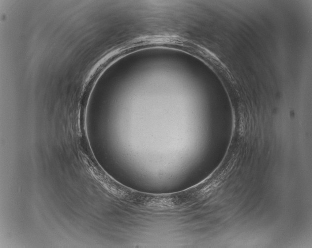 X0000054391174200508011245