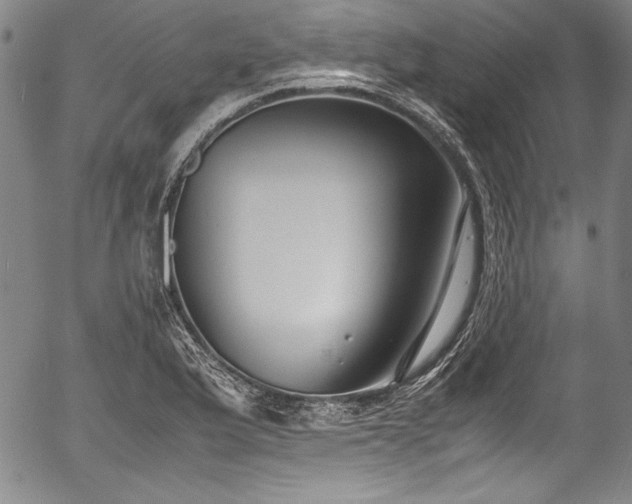 X0000054391175200508011245
