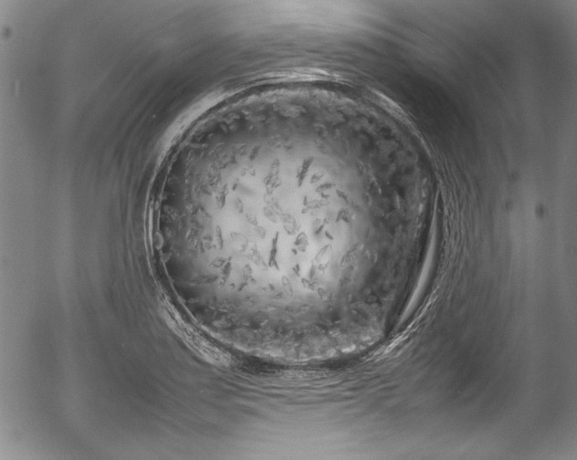 X0000054391179200508011245