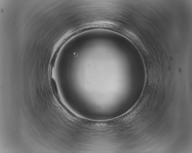 X0000054391180200508011245