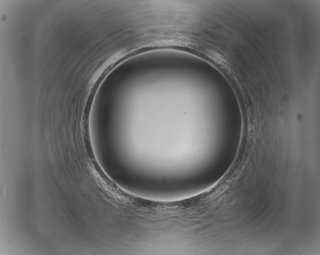 X0000054391181200508011245