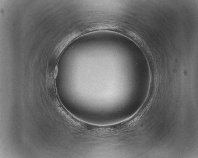 X0000054391185200508011245