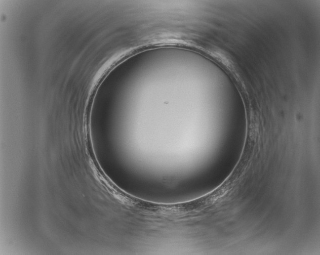 X0000054391191200508011245
