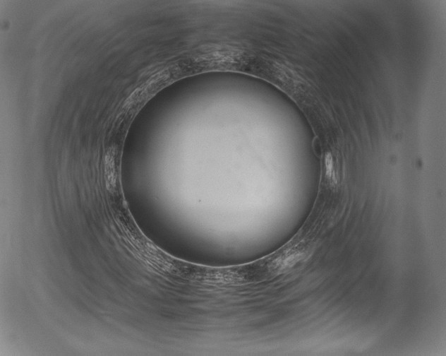 X0000054391203200508011244