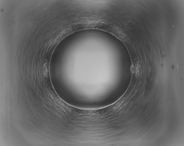 X0000054391204200508011244