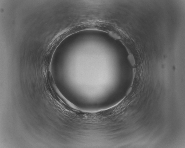 X0000054391206200508011244