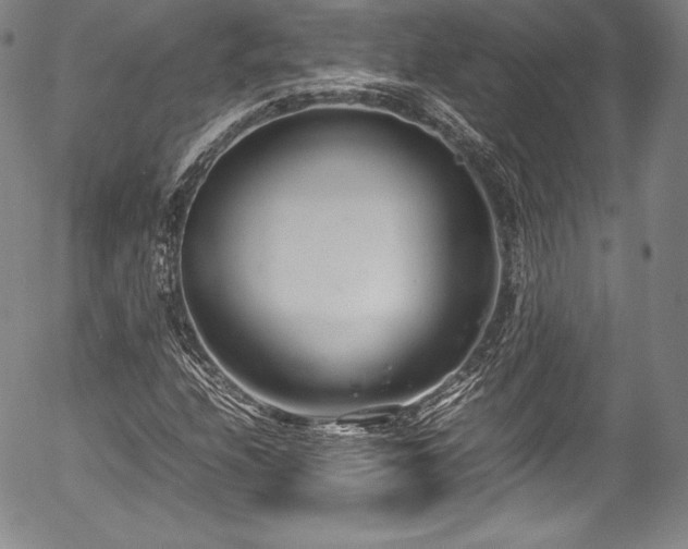 X0000054391208200508011244