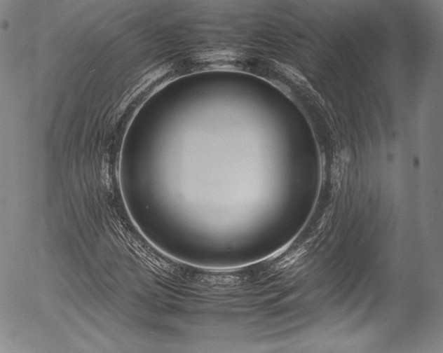 X0000054391209200508011244