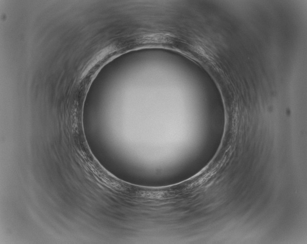 X0000054391211200508011244