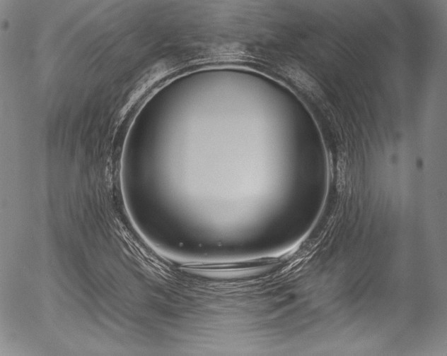 X0000054391212200508011244